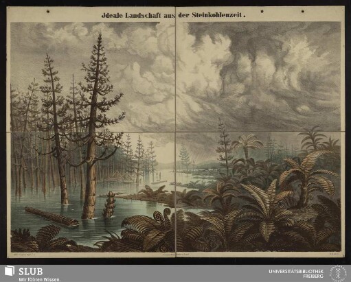 Tafel 6: Jdeale Landschaft aus der Steinkohlenzeit