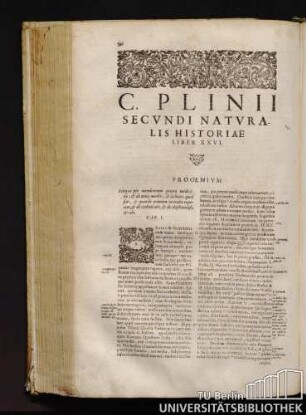 C. Plinij Secvndi Natvralis Historiae Liber XXVI.
