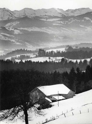 Blick von der Queeralpenstraße zum Bregenzer Wald