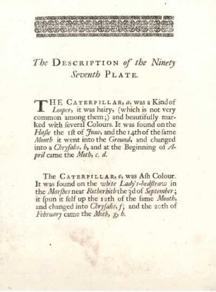 The Description of the Ninety Seventh Plate