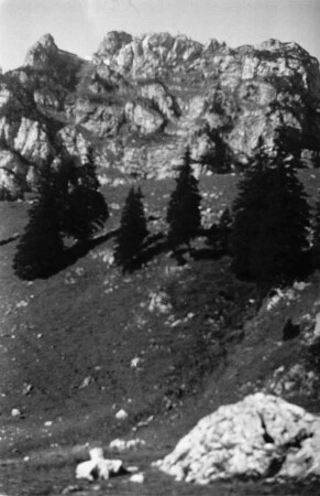 Wendelstein : Blick von Süden auf den Wendelstein (1838 m)