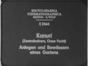 Kanuri (Zentralsahara, Oase Fachi) - Anlegen und Bewässern eines Gartens