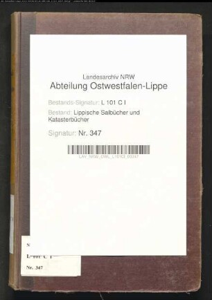 Salbuch der Stadt Lemgo von 1861, Bd. 4 (Duplikat)