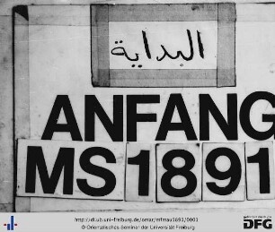 MF Mau 1891