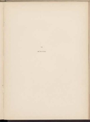 VII. Münster. [Abbildung]