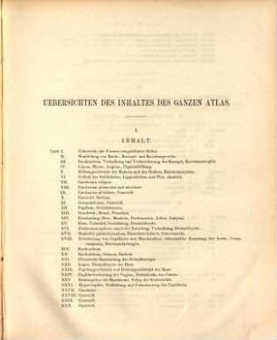 Atlas der mikroskopischen pathologischen Anatomie, [3]. [Tafeln]