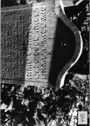 Grabstein 31 (Index: 99796329) Material: Sandstein Zustand: gut Maße HxBxT: 94x51x11 cm Beschreibung: Stele, Konvexbogenabschluß mit Verdachung, Schriftfeld eingetieft Symbolik: Blüte, Ranke: Grabstein 31A