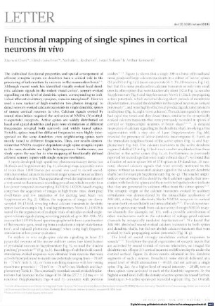 Functional mapping of single spines in cortical neurons in vivo