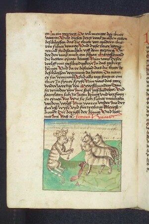 Der Katzenkönig hält Rat mit den Katzen; (Kapitel XVI: Von den Vögeln).