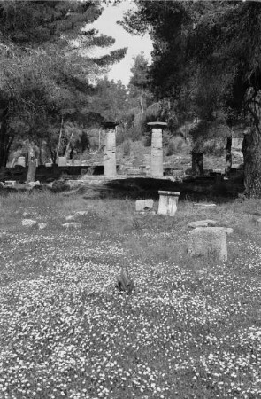 Reisefotos Griechenland. Ruine des Hera-Tempels