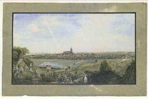 Ulm von Norden. Um 1860