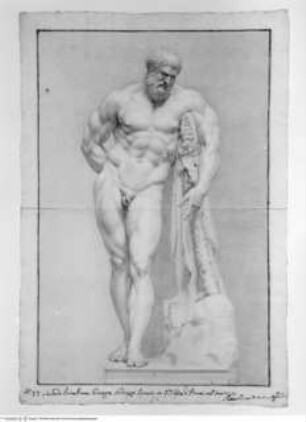 Concorso Accademico 1728, Terza Classe: Herkules Farnese, primo premio