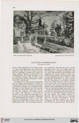 Goethes Formbegriff