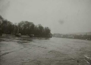 Dresden-Pillnitz. Blick zur Elbinsel elbabwärts (vor der Insel Dampfer 'Bohemia')
