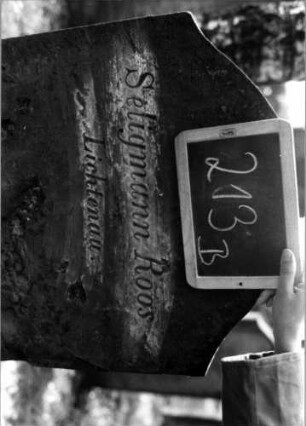 Grabstein 213 (Index: 100112183) Material: Sandstein Zustand: Rückseite abgeblättert Maße HxBxT: 147x60x13 cm Beschreibung: Stele, Konvexbogenabschluß, Schriftfeld eingetieft: Grabstein 213B