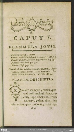 Caput I. De Flammula Jovis