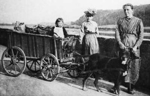 Letzte Botenfrau zwischen Coswig und Meißen - Frau Bernhardt : Coswig. Die letzte Coswiger Botenfrau, Frau Bernhardt, mit Karren, von Hundegespann gezogen