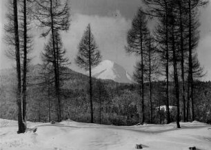 Österreich. Tirol. Blick auf den Hohe Munde (Mieminger Kette) bei Oberhofen im Winter