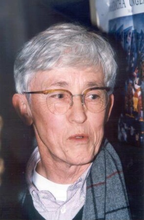 Hannes Schwenger / Buchautor : Schwenger, Hannes (geb. 1941; Schriftsteller, Literaturwissenschaftler)