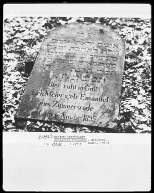Grabstein Lea Meier (+1895)