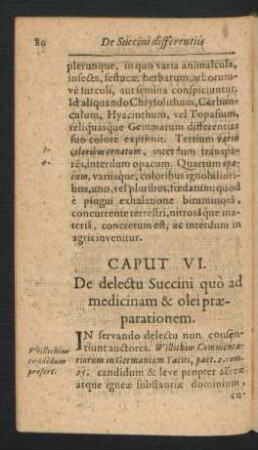 Caput VI. De delectu Succini quo ad medicinam & olei praeparationem.