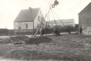 Aufstellen des Maibaumes in Zerna : Gesellschaftliche Volkskultur - Frühling. Ort: Sernjany / Zerna. Dorfjugend beim Aufstellen des Maibaumes.