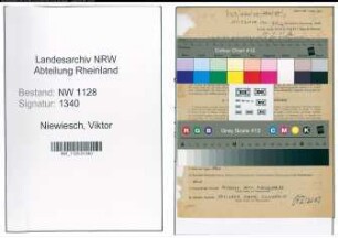 Entnazifizierung Viktor Niewiesch , geb. 03.05.1877 (Beamter)