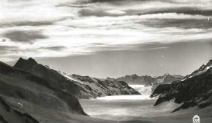Berner Alpen. Aletschgletscher mit Konkordiaplatz. Blick vom Jungfraujoch nach Südost zum Eggishorn (2926 m)