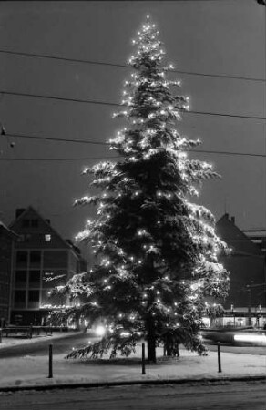 Freiburg: Platz am Siegesdenkmal, Tannenbaum mit Lichtern (allein)