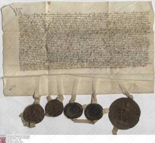 Herman [III.] und Jorge Riedesel, Gebrüder, Katherina und Anna, ihre ehelichen Hausfrauen, verkaufen Dechant und Kapitel der Peterskirche zu Fritz...