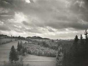 Špičák (deutsch Sattelberg,auch Schönwalder Spitzberg). Tschechien. Sattelbergwiesen. Herbst