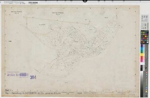 Altastenberg (Winterberg), Flurbereinigung Altastenberg, Bl.4 Zuteilungskarte Altastenberg Flur 4