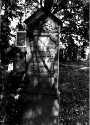 Grabstein 343 (Index: 100111932) Material: Sandstein, weiße Marmorplatte Zustand: gut Maße HxBxT: 210x50x33 cm Beschreibung: Stele, profilierter Sockel, giebelartiger Abschluß mit Verdachung, rechteckiges Schriftfeld eingetieft, oben mit rund eingezogenen Ecken, Rückseite: Schriftplatte Symbolik: geknickte Rose: Grabstein 343