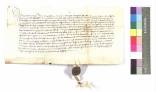 Orengew, Reminiscere; Rychart, Bürger zu Orngew, begibt sich in den Schirm Albrecht's von Hohenlohe; Siegel: Hans von Berlichingen und Eberhart Lesch.