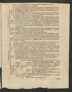 Tab. VII. De Fortitudine Et Temperantia.
