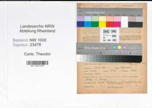 Entnazifizierung Theodor Carle, geb. 14.04.1911 (Arzt)