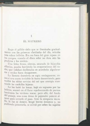 I - El matrero