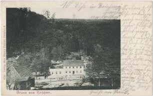 Bad Schandau-Krippen. Restaurant Elysium, Ansichtskarte