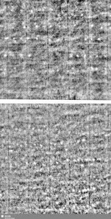 Lilienschild + IESV / LW = Bd.1, S.7/8+135/136