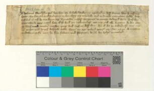 Der Lübecker Domherr Johannes Weydeknepel bekennt, dass der Lüneburger Rat ihm die Weihnachten [1428] fälligen 30 Mark Lübisch bezahlt hat.