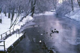 Trave am Bürgerpark im Winter