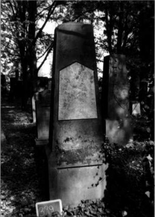 Grabstein 339 (Index: 100111940) Material: Sandstein, weiße Marmorplatte Zustand: gut; Schriftplatte ohne Inschrift Maße HxBxT: 200x62x50 cm Beschreibung: Obelisk, Sockel, Schriftplatte mit giebelartigem Abschluß: Grabstein 339