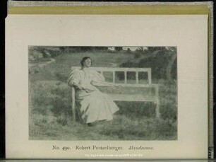 No. 490. Abendsonne