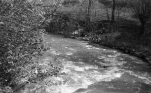 Triebischtal-Roitzschen. Die Triebisch bei der Neidmühle