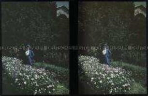 Frau in einem Margeritenbeet in einem Garten in Puerto Varas