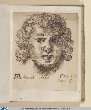 Zeichenkurs: Gesicht