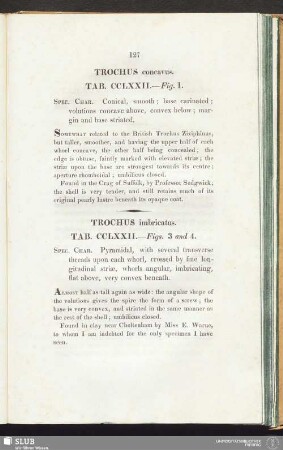 Trochus concavus. Tab. CCLXXII. — Fig. 1