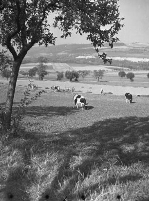 Cotta. Blick von Cotta auf das Gottleubatal bei Neuendorf