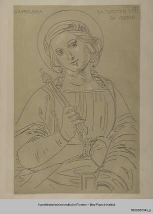 Oberkörper der Heiligen Apollonia (nach einem Bild von Timoteo Viti in der Galleria Nazionale in Urbino)