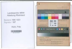 Entnazifizierung Fritz Horn , geb. 25.11.1901 (Buchpruefer)